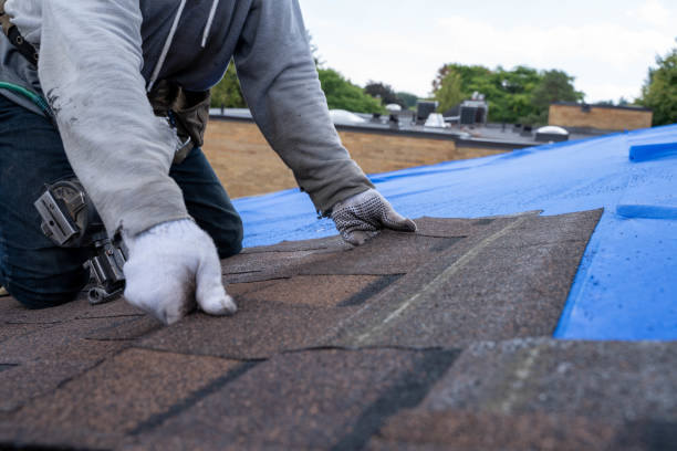 Best Tile Roofing Contractor  in Eddyville, IA