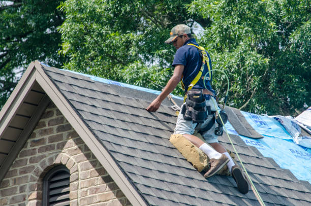 Best Metal Roofing Contractor  in Eddyville, IA